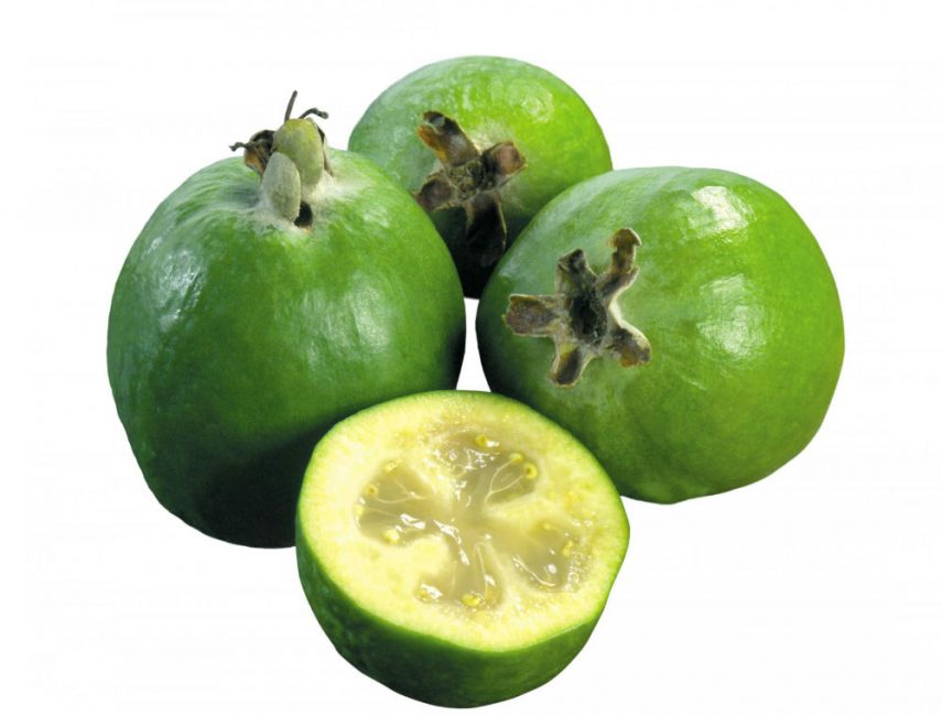 feyjoa
