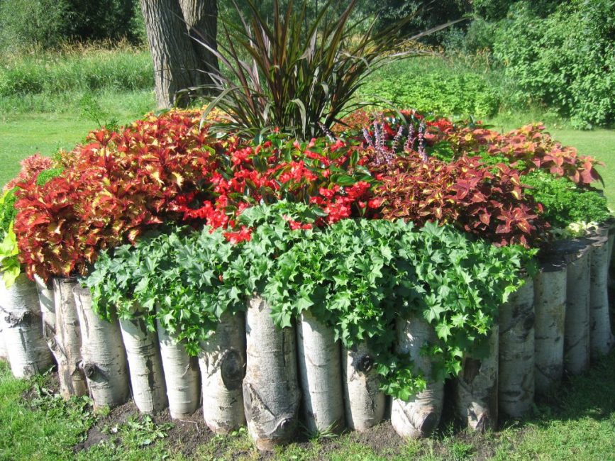 Macizos de flores de valla de madera
