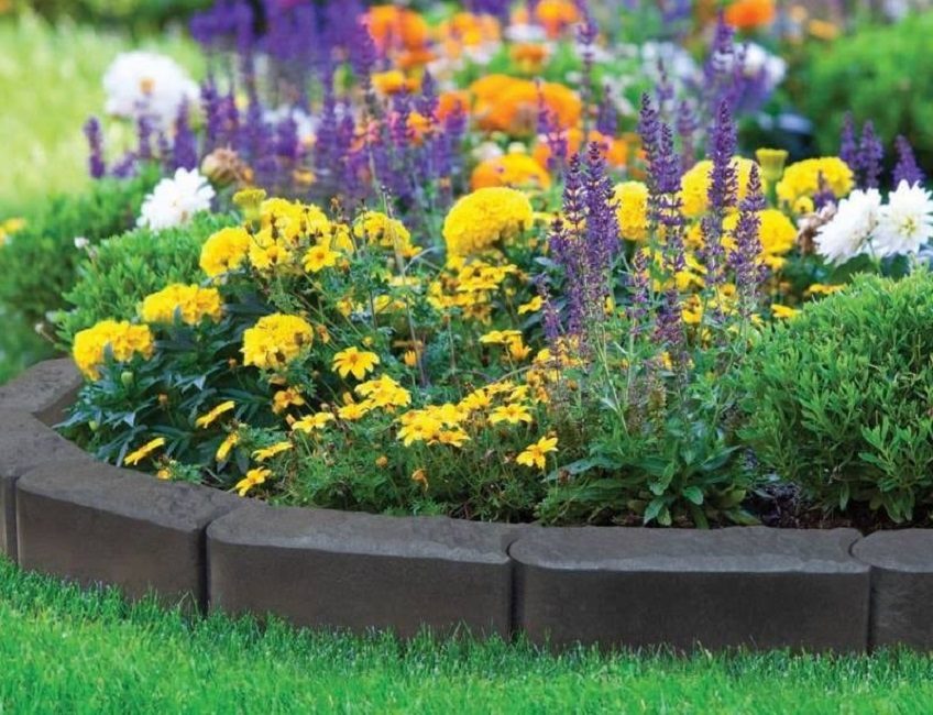Foto de vallas de macizos de flores de tipo regular.