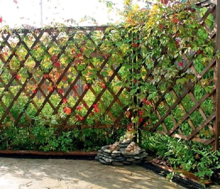 pergola