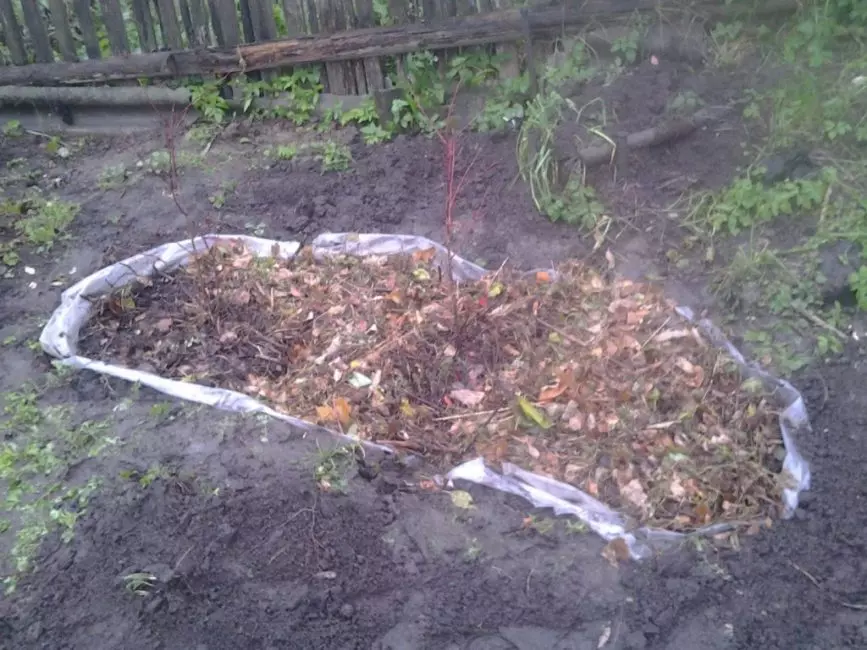 En algunos casos, se usa el aislamiento completo de la mezcla de suelo en el sitio creando un recipiente separado o formando una zanja en la que se coloca una película de plástico para que el suelo de arándano rojo no entre en contacto con el suelo en el sitio