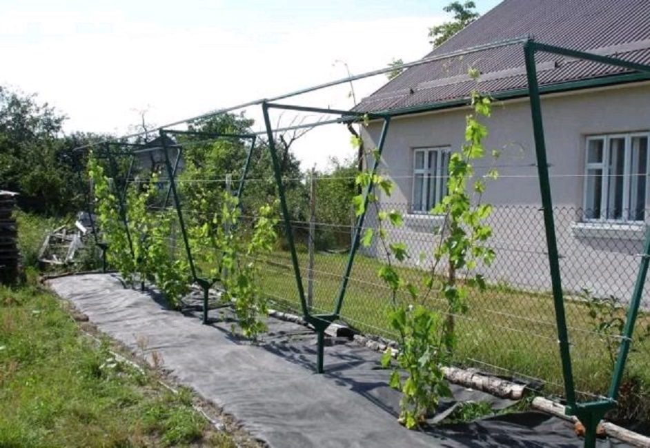 Podpora ve tvaru V