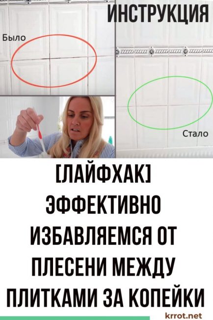 Deshacerse del moho