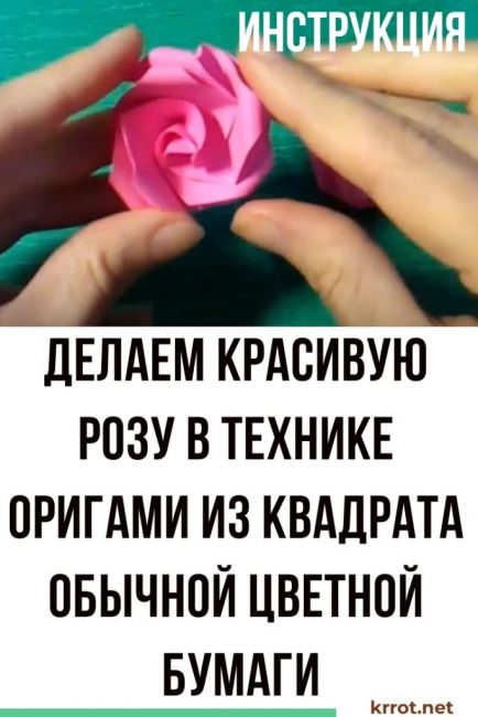 pappersrosor