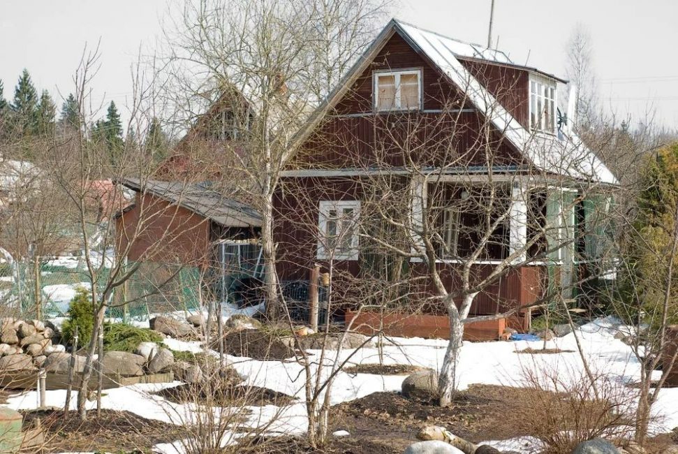 Tidig vår i trädgården
