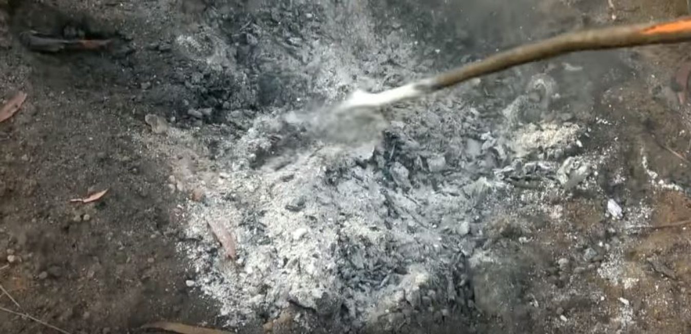 A tuskónak nyoma sem maradt