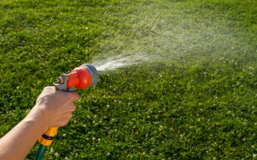 Vattna gräsmatta i april