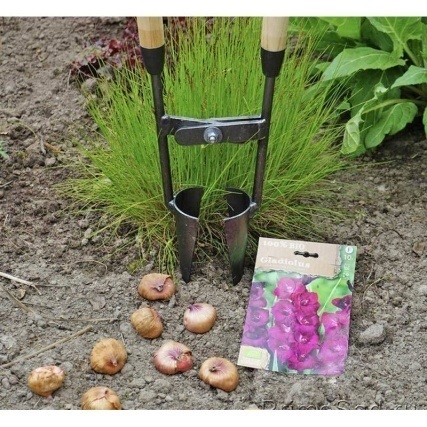 Lökplantering