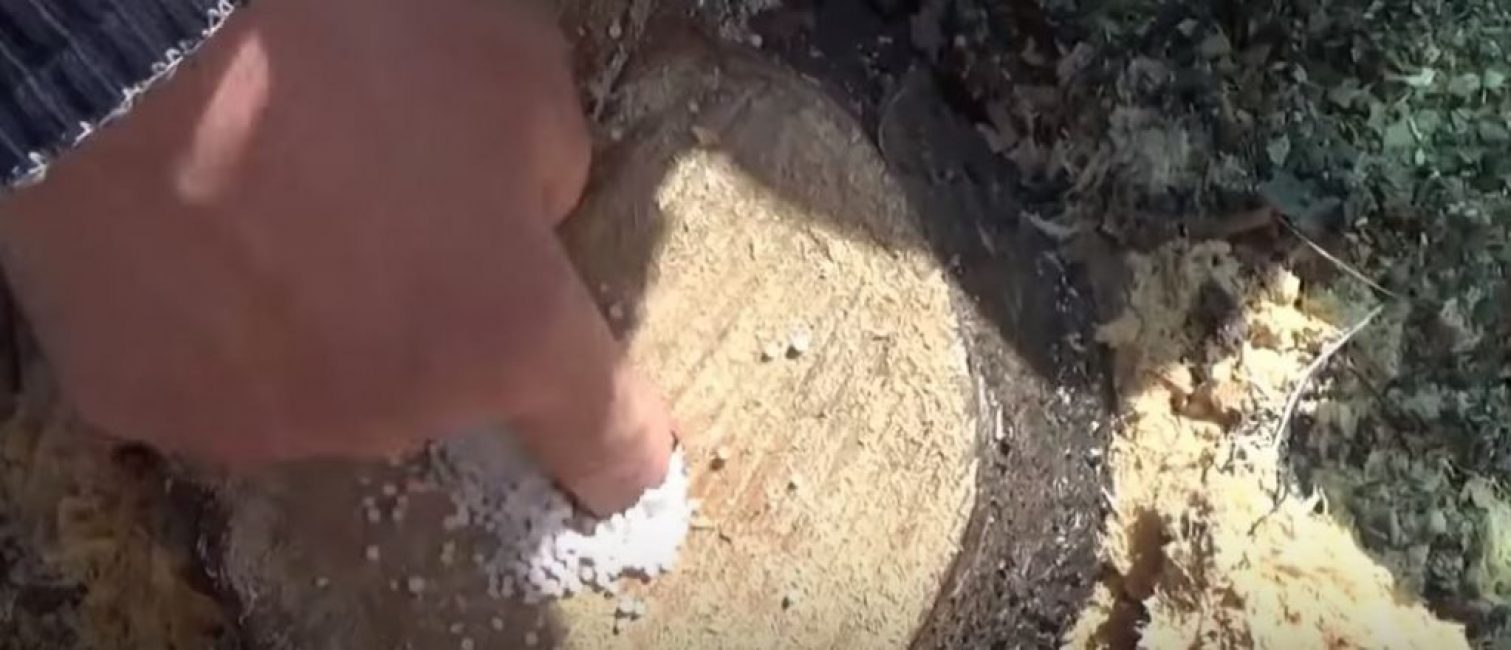 Un poco de salitre apisonado con el dedo