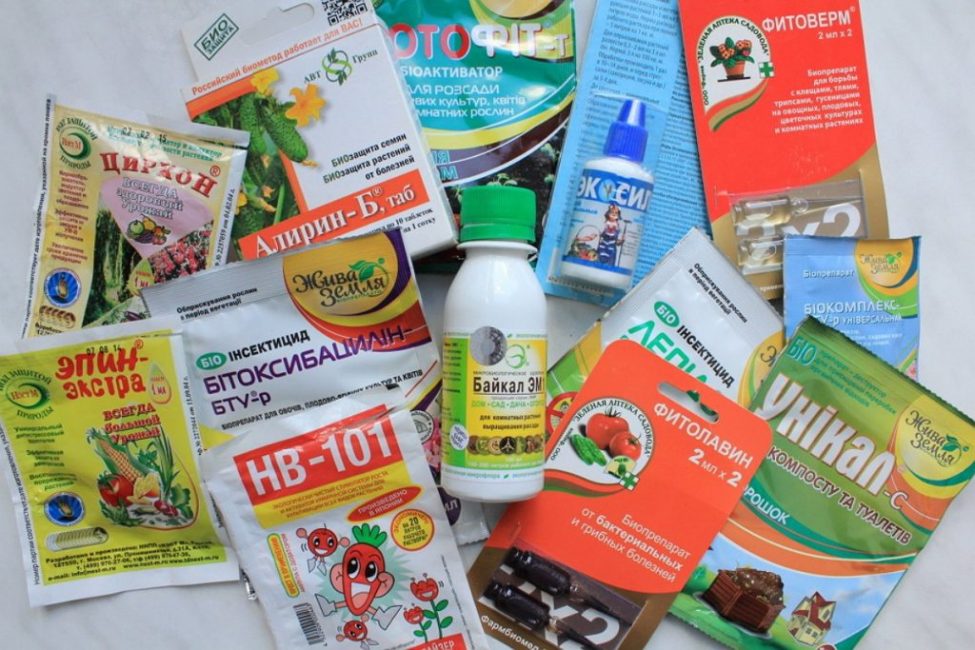Productos biológicos para la protección de plantas