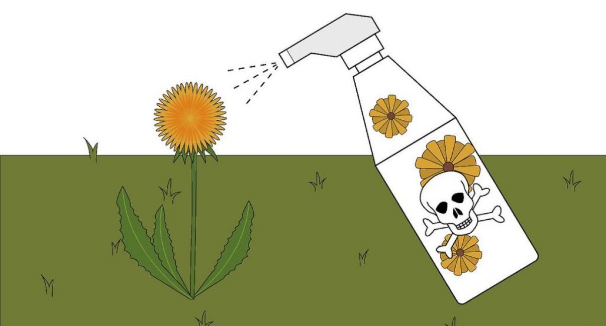 A pitypanghoz herbicideket is használnak