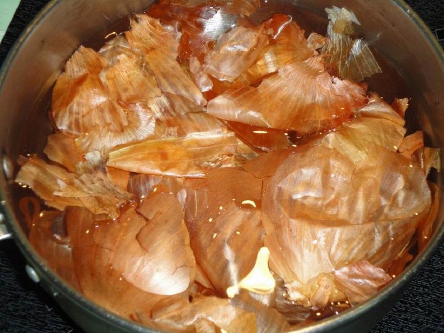 Infuusion saaminen sipulinkuoresta