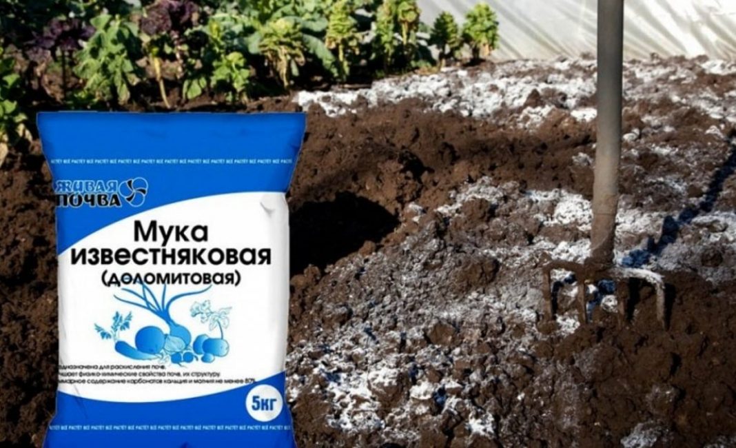A talaj dezoxidációja