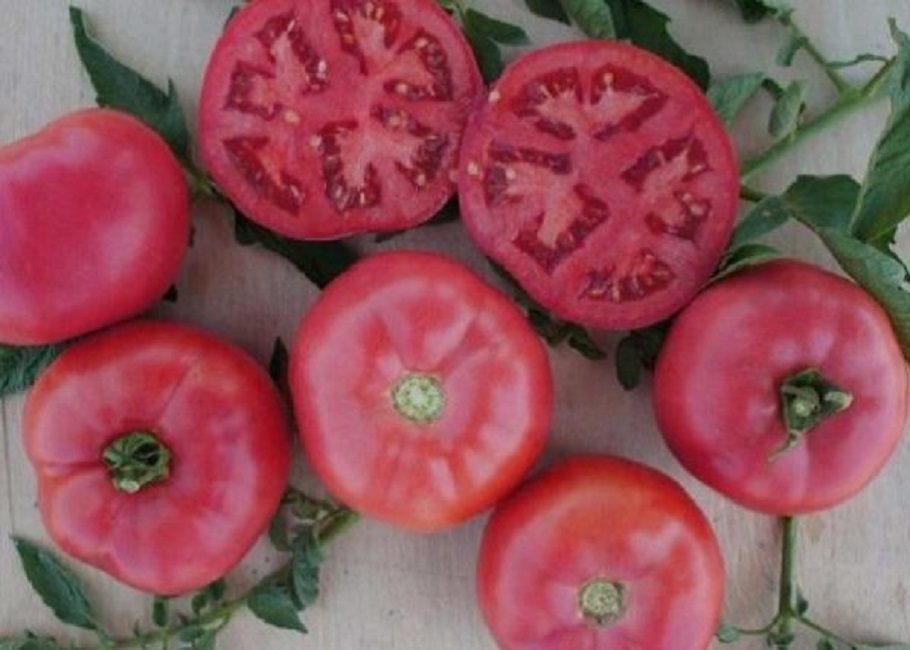 meravella rosa