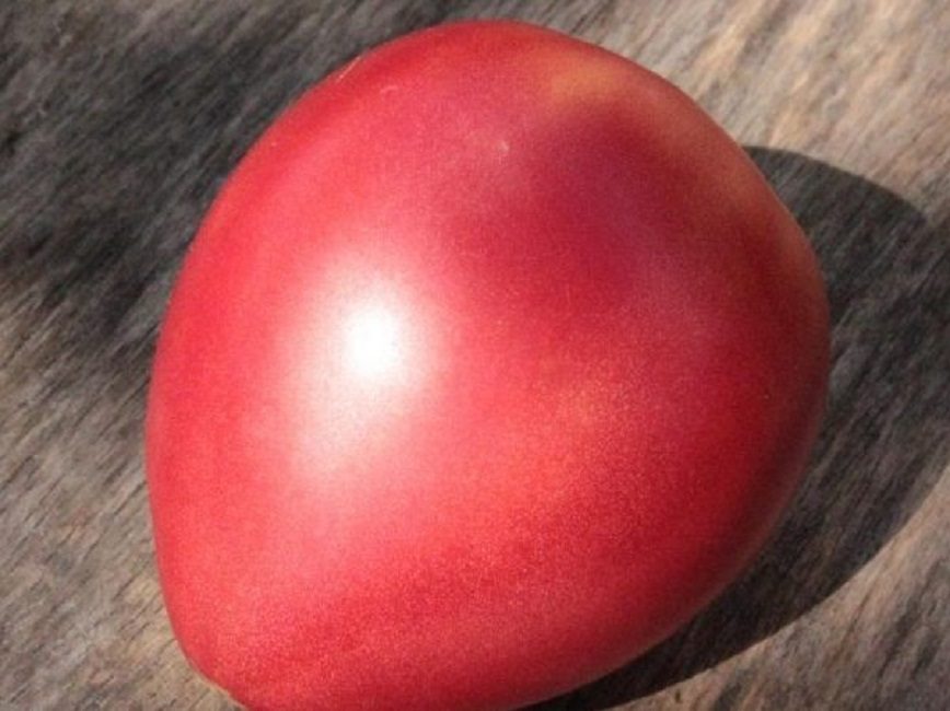 cor rosat