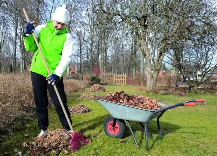 Trädgårdsarbete i mars