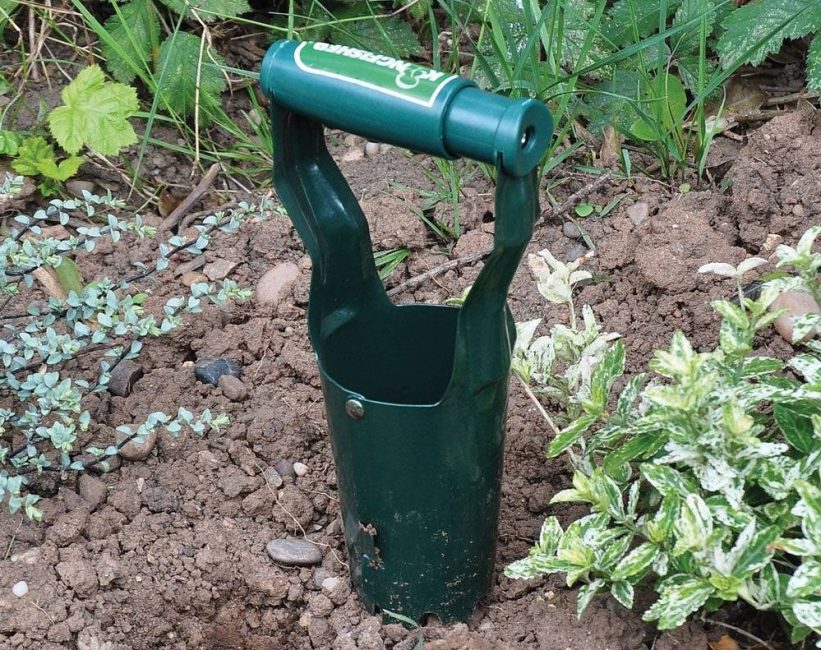 Lökplantering