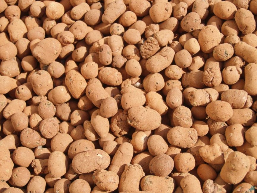 Arcilla expandida