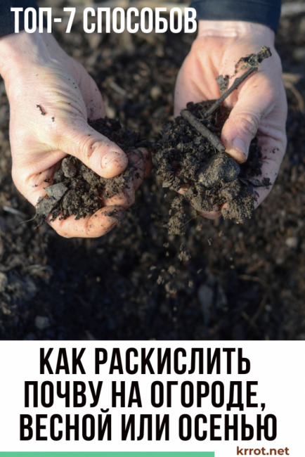 Hogyan lehet deoxidálni a talajt a kertben