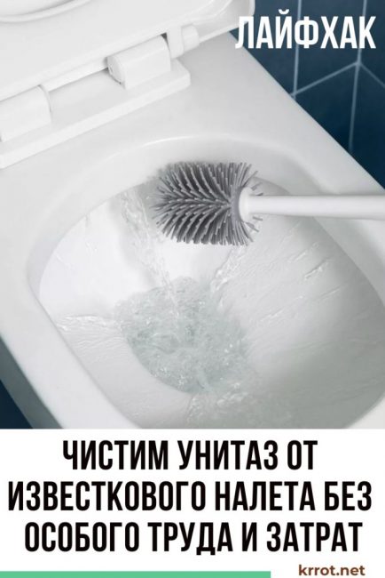 Почистваме тоалетната
