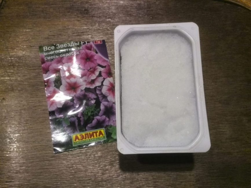 Recipiente con tierra y nieve para sembrar semillas