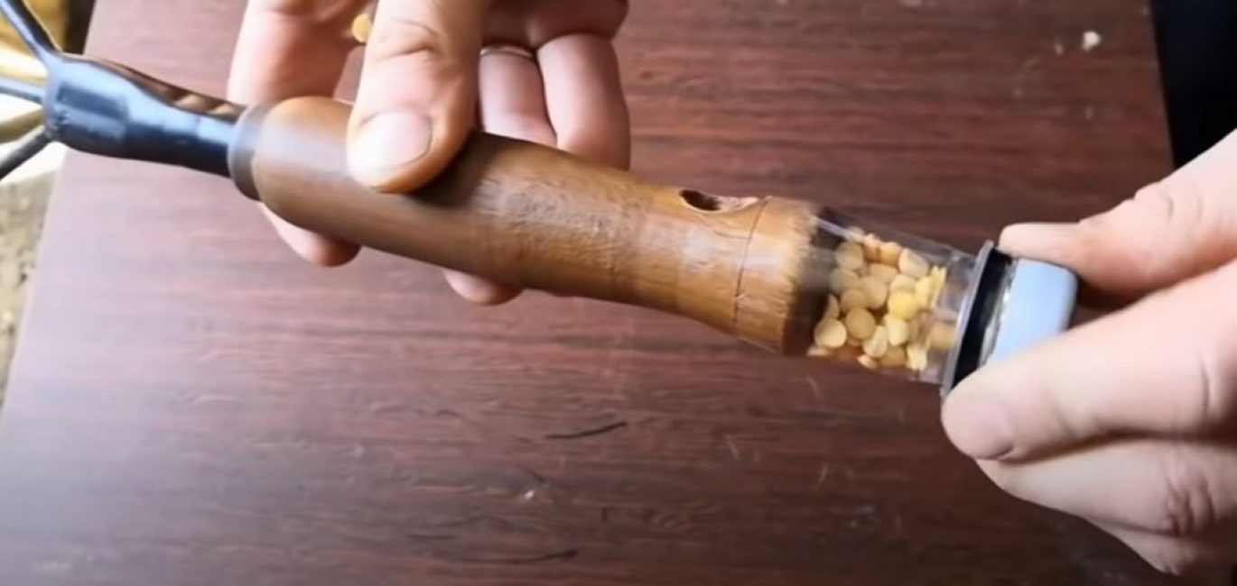 Şimdi tohumları böyle bir kaba yerleştirmek uygun