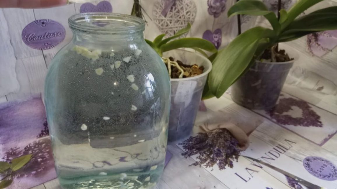 agua de ajo