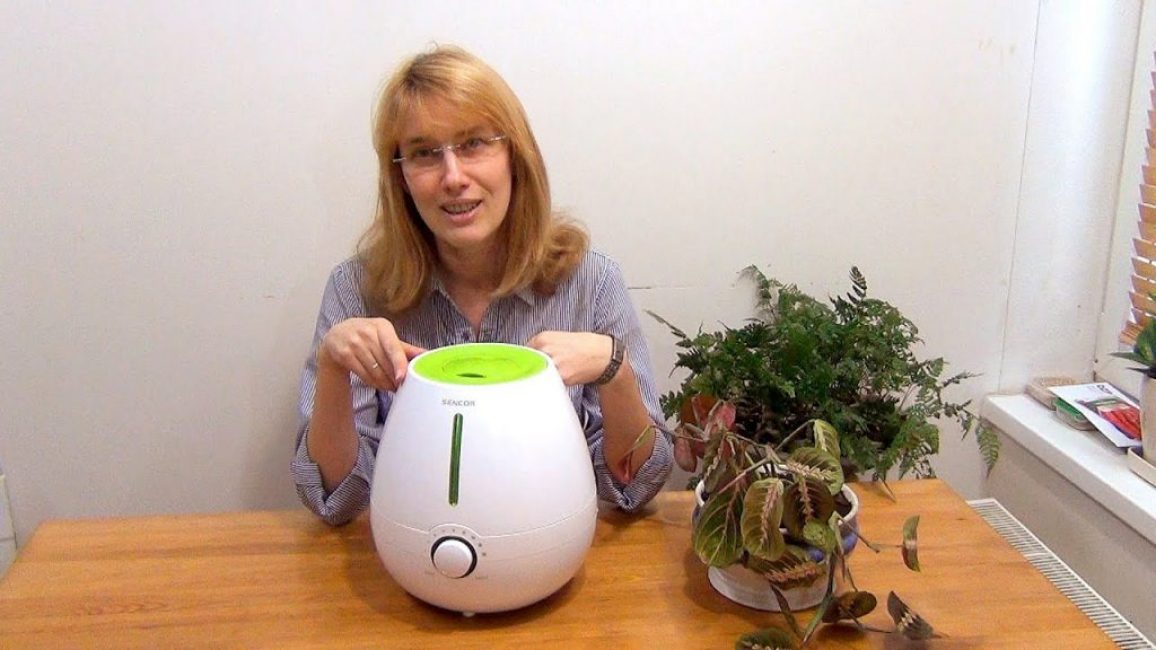 Humidificador