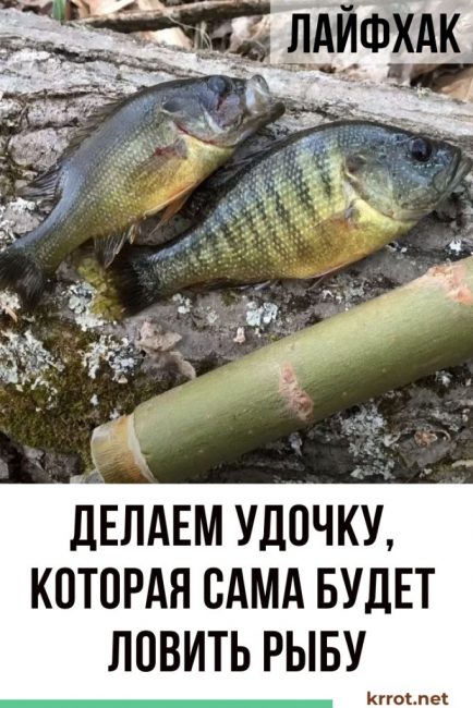 olta yapmak