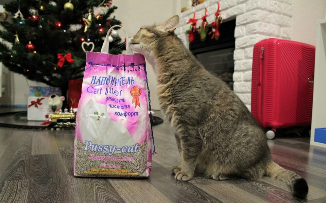La mejor arena para gatos