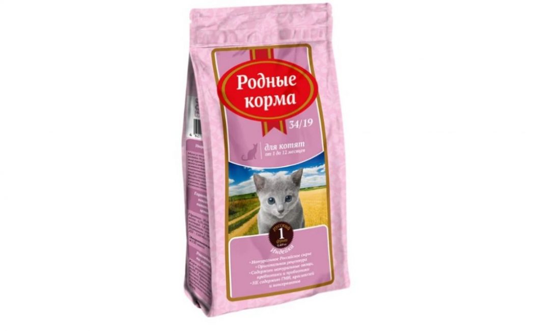 Los mejores alimentos para gatos