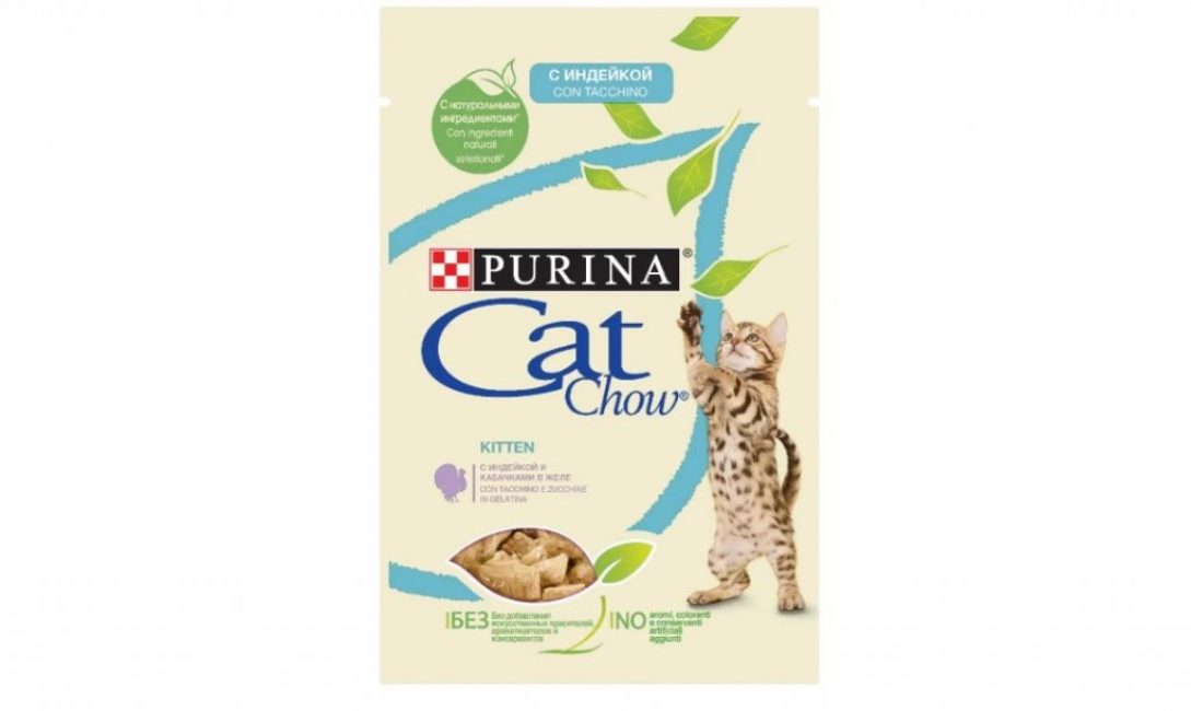Los mejores alimentos para gatos