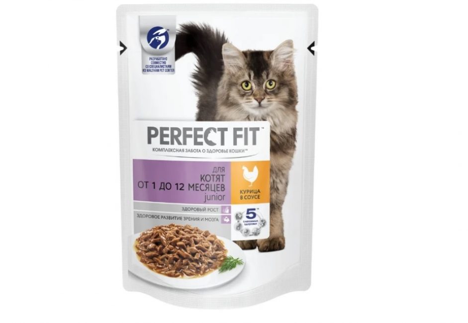 Los mejores alimentos para gatos