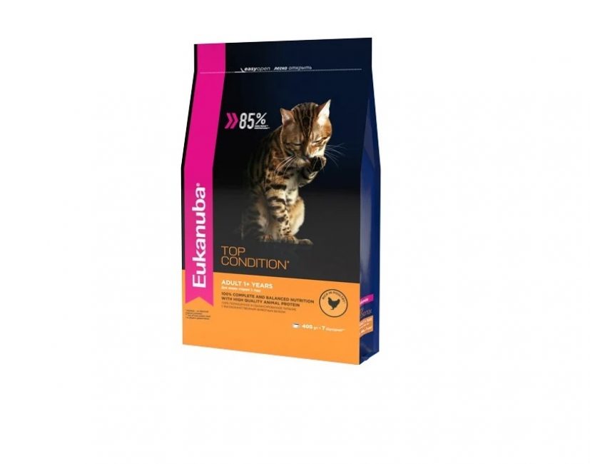 Los mejores alimentos para gatos