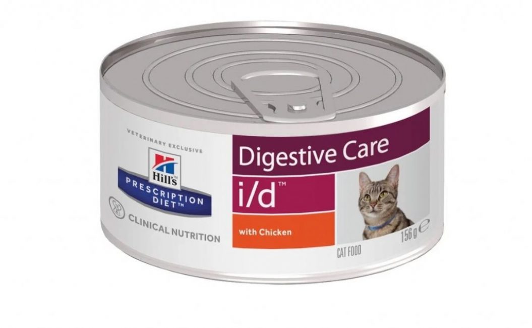 Los mejores alimentos para gatos