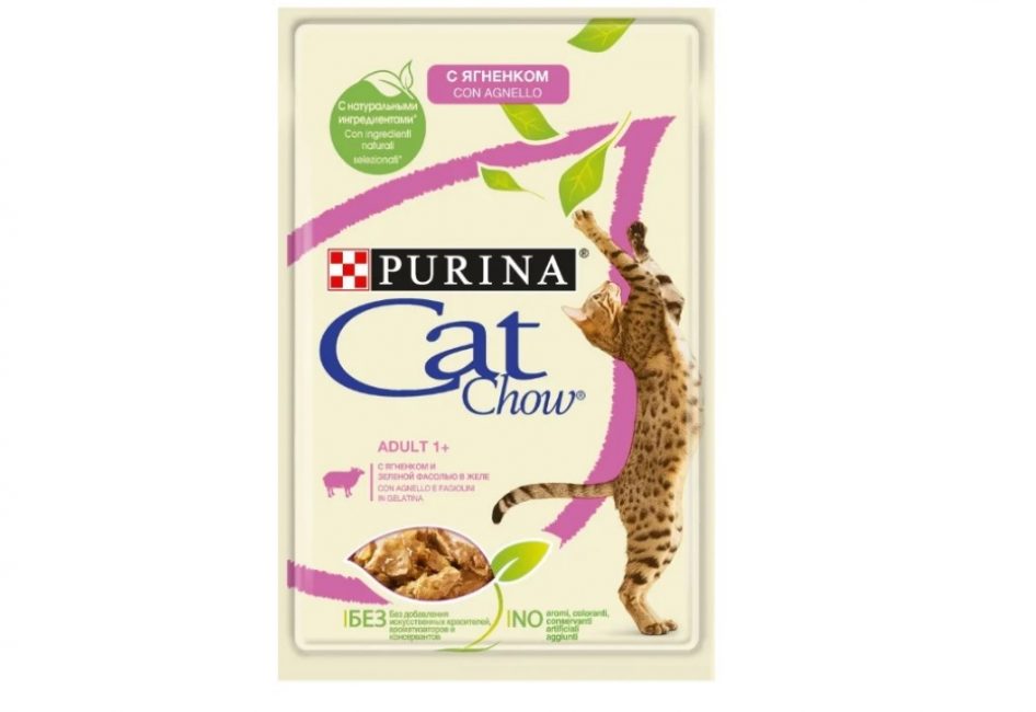 Los mejores alimentos para gatos