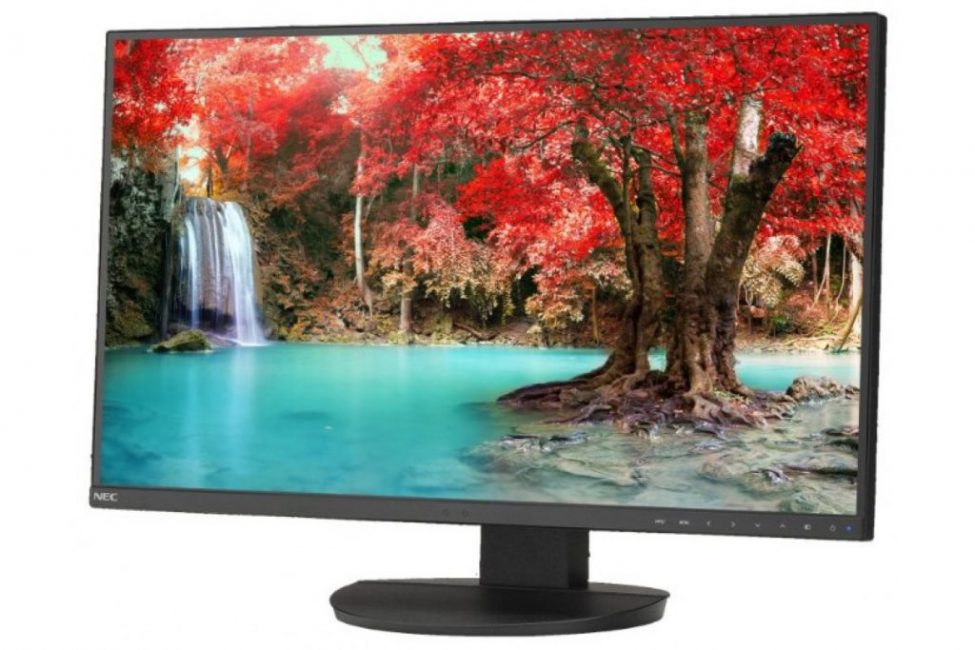 Los mejores monitores para un ordenador.