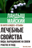 May lily of the valley: περιγραφή του φυτού, το είδος, η καλλιέργεια στον χώρο και η φροντίδα του, φαρμακευτικές ιδιότητες (55 Φωτογραφίες & Βίντεο) + Κριτικές