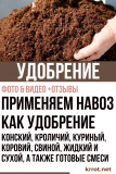 Използваме оборски тор като тор: конски, заешки, пилешки, кравешки, свински, течни и сухи, както и готови смеси (Снимка и Видео) + Рецензии