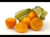 [VIDEO] Physalis - odling