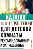 Populära växter för landskapsplanering och dekoration av ett barnrum och lokaler för förskoleinstitutioner. Rekommenderas och förbjudet (25 foton och videor) + recensioner